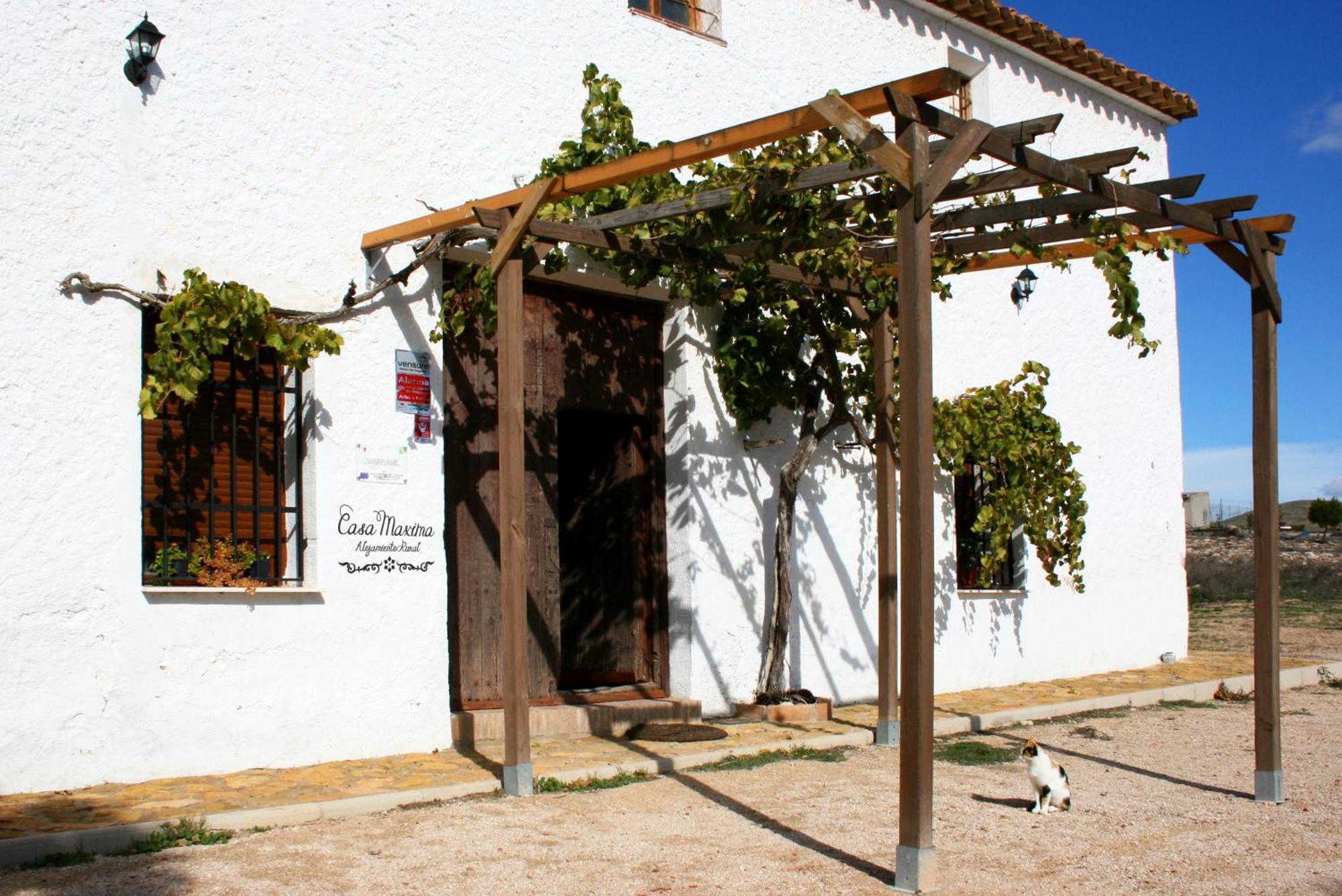 Casa Rural Casa Maxima Yecla Dış mekan fotoğraf